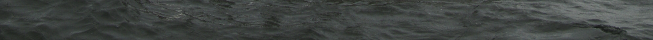 Bottom